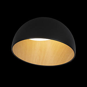 Светильник потолочный Loft It Egg 10197/350 Black